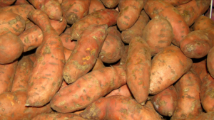 pictures-of-yams-for-yam-006